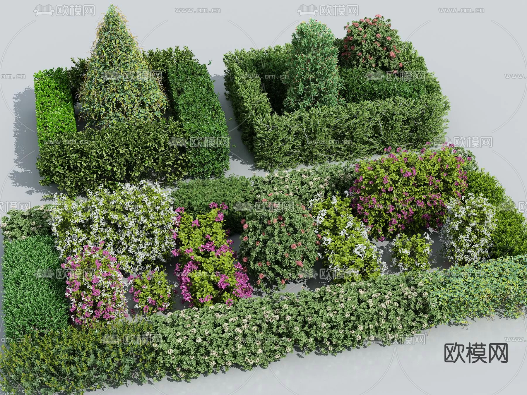 Plants and Flower – 3D Modesl – 0397