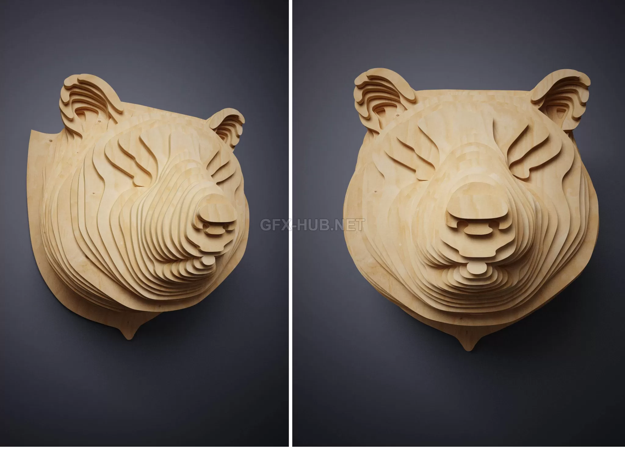 acc_head_bear – 205095