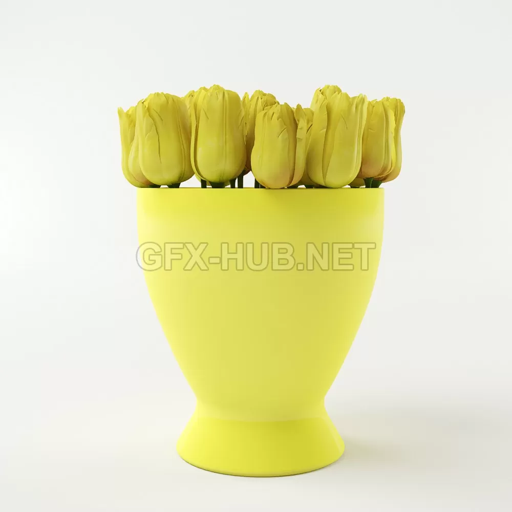 Acc_tullips – 205215