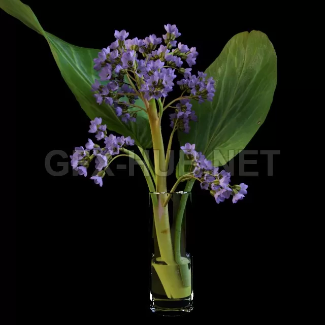 Amb_Flower. Bodan – 205711