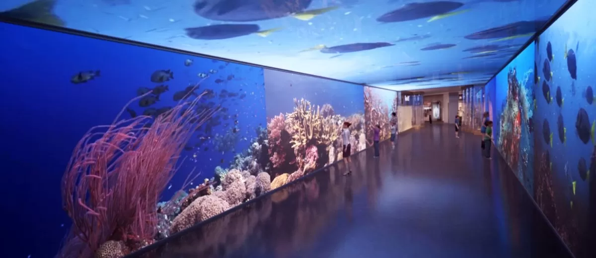 3D ANIMATION INTERIOR – 173