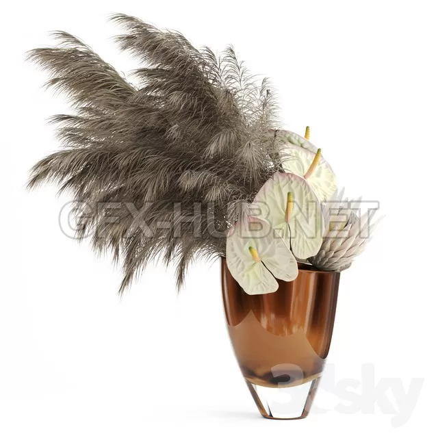 Anthuriums  Protea  Pampas grass – 205849