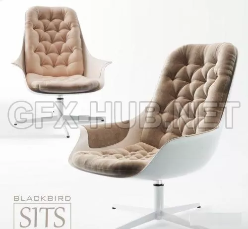 Armchair Blackbird Sits 3D Model – 206151