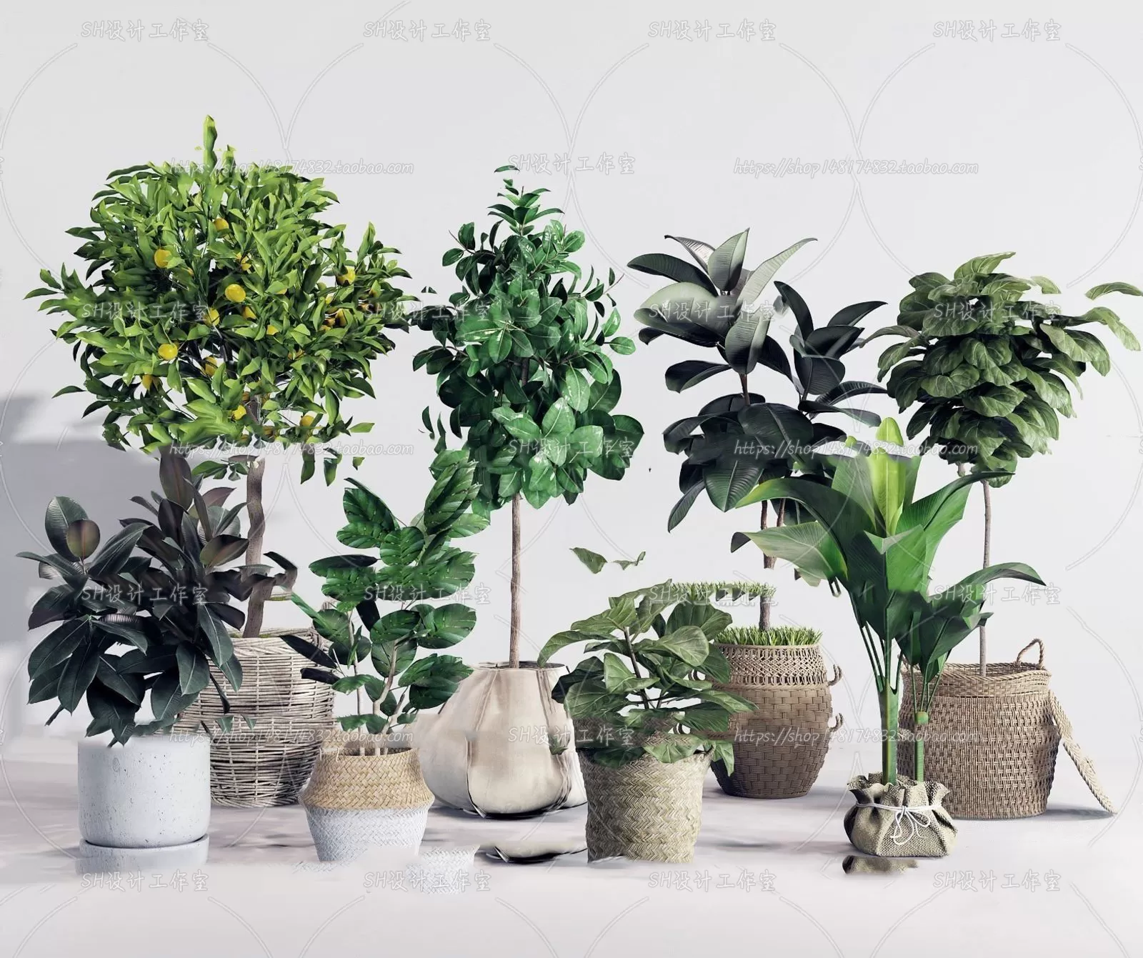 Plants and Flowers – 3Ds Models – 0004