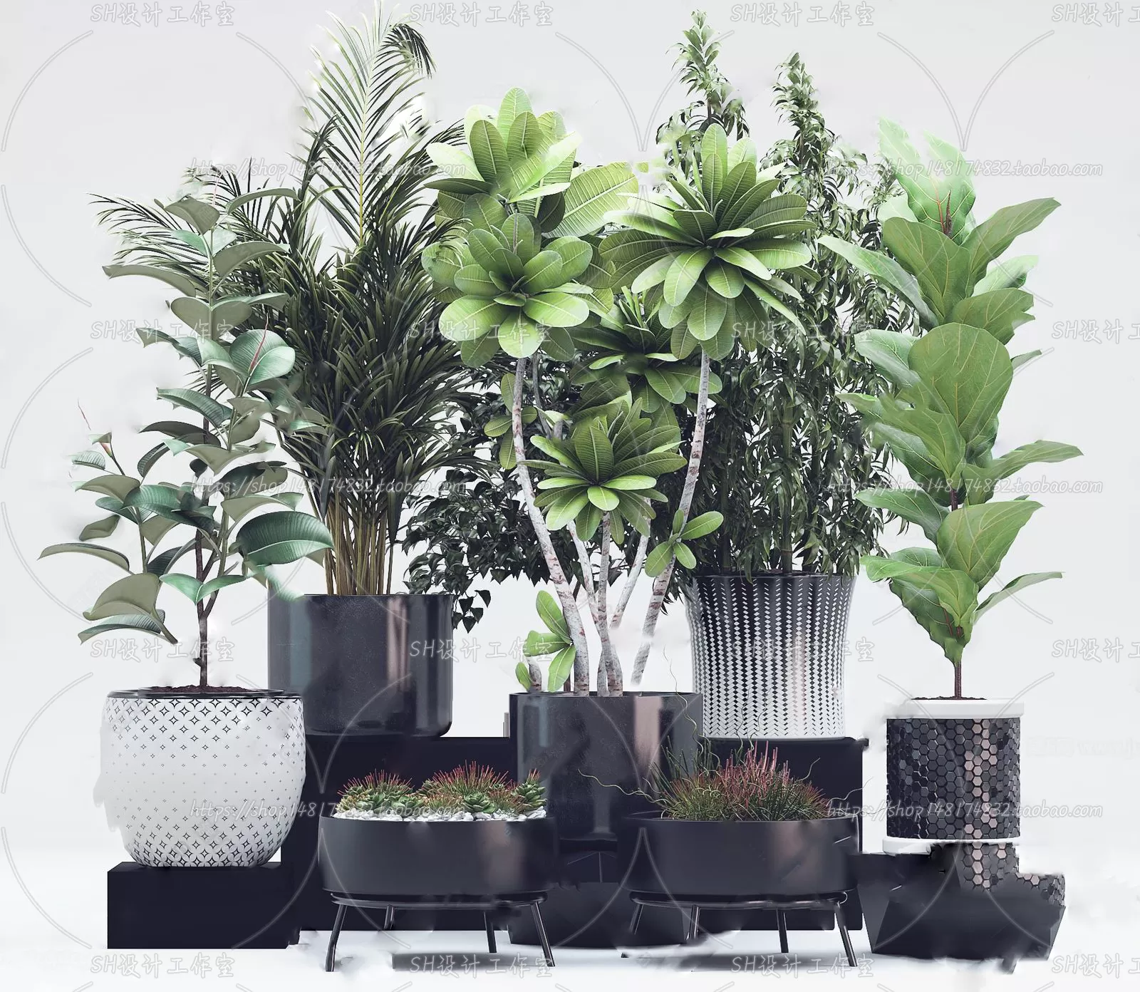 Plants and Flowers – 3Ds Models – 0010