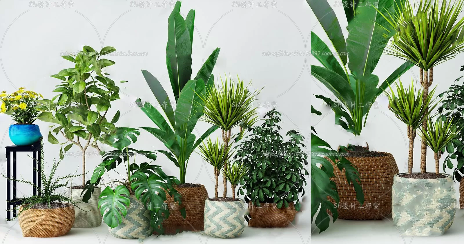 Plants and Flowers – 3Ds Models – 0042