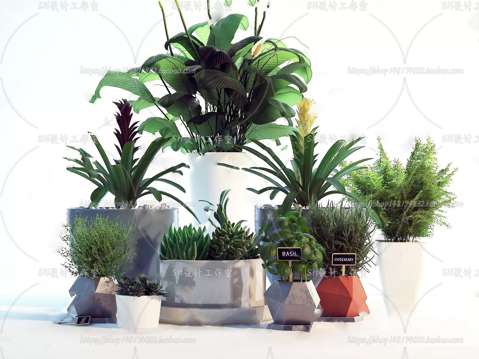 Plants and Flowers – 3Ds Models – 0066