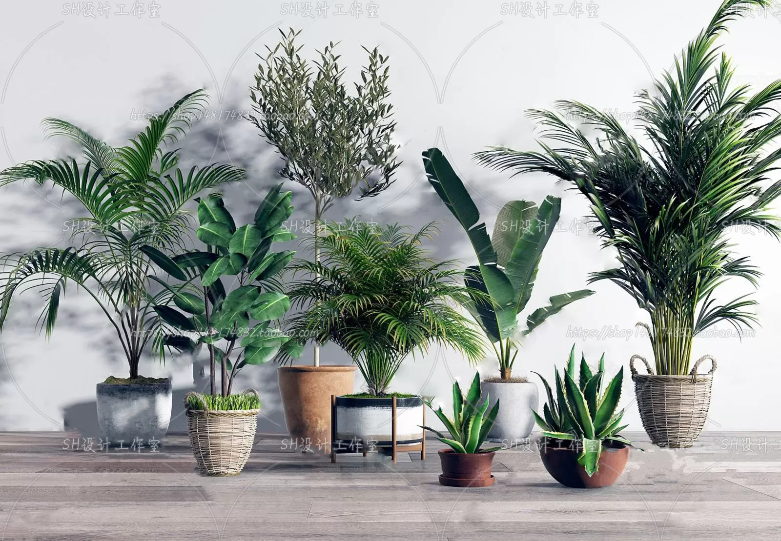 Plants and Flowers – 3Ds Models – 0069