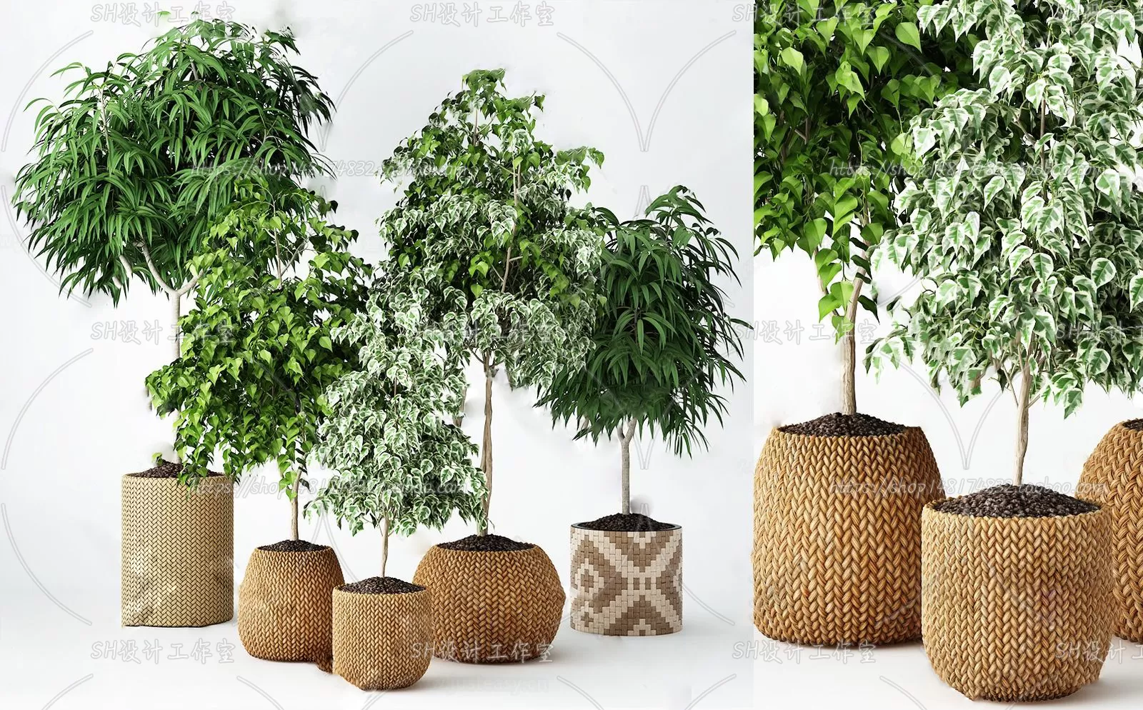 Plants and Flowers – 3Ds Models – 0082