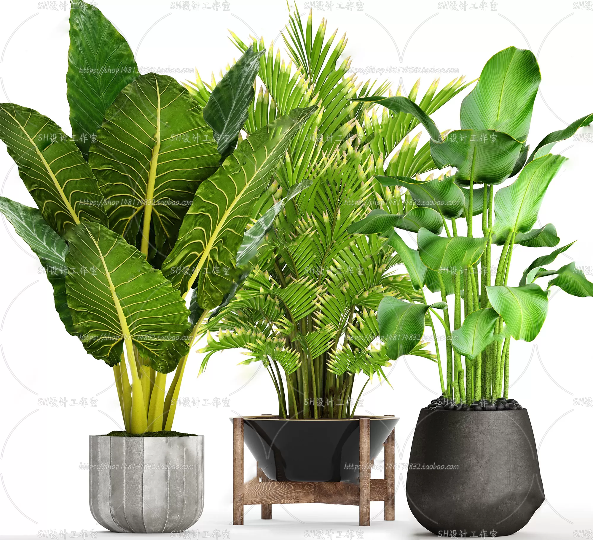 Plants and Flowers – 3Ds Models – 0087