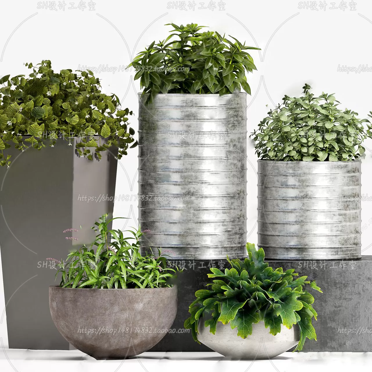 Plants and Flowers – 3Ds Models – 0088