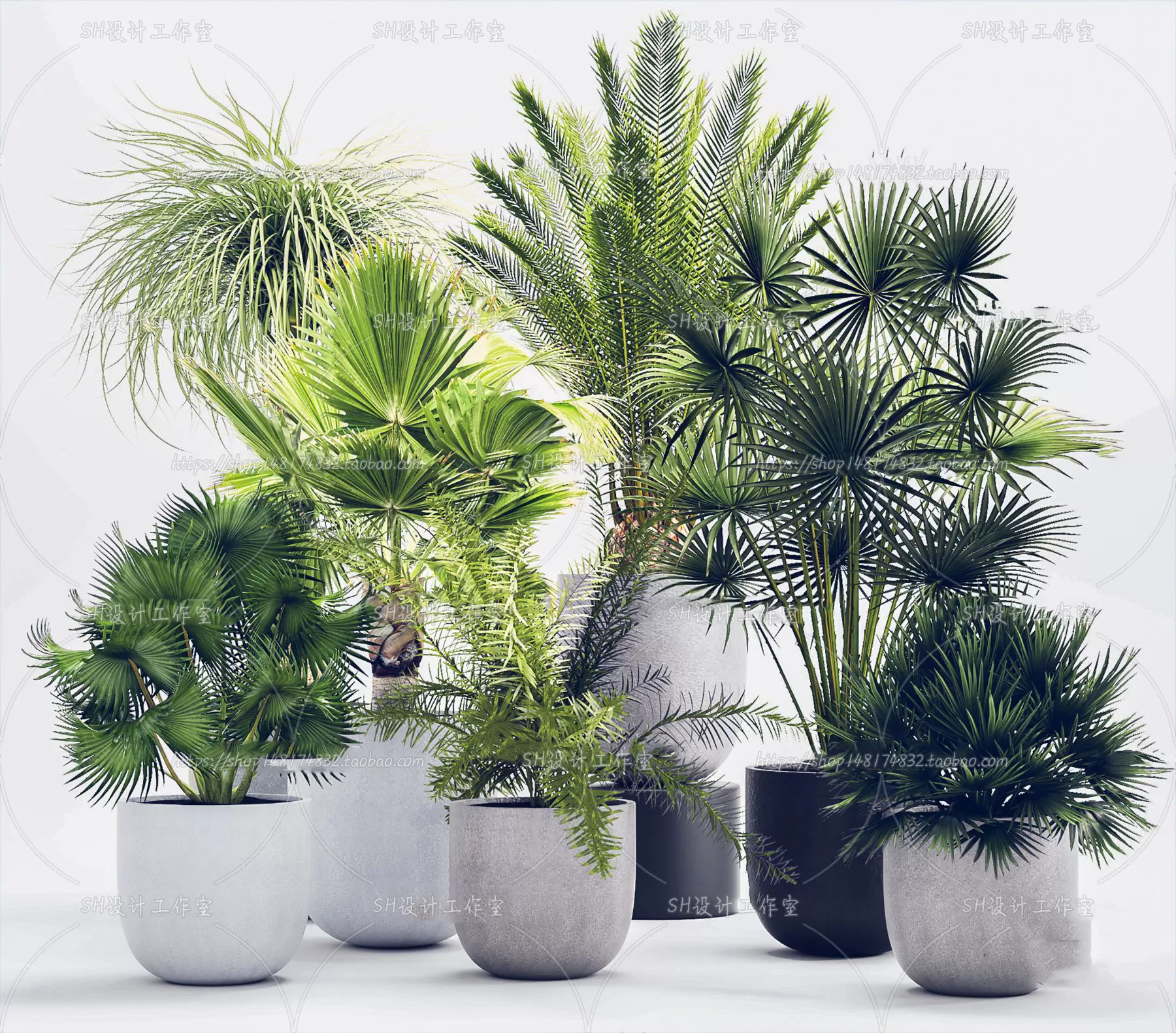 Plants and Flowers – 3Ds Models – 0147