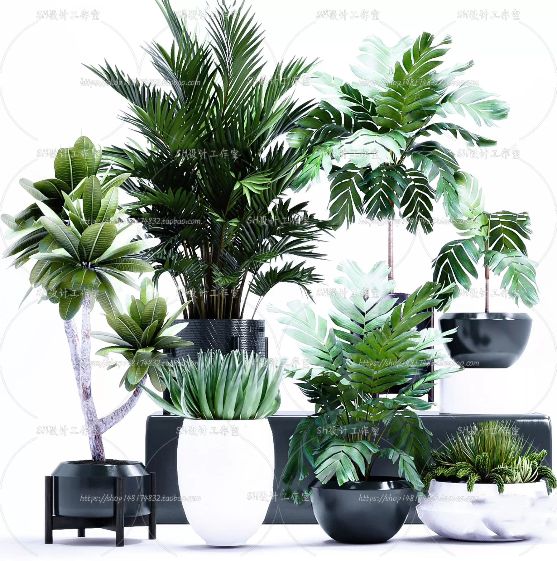 Plants and Flowers – 3Ds Models – 0148