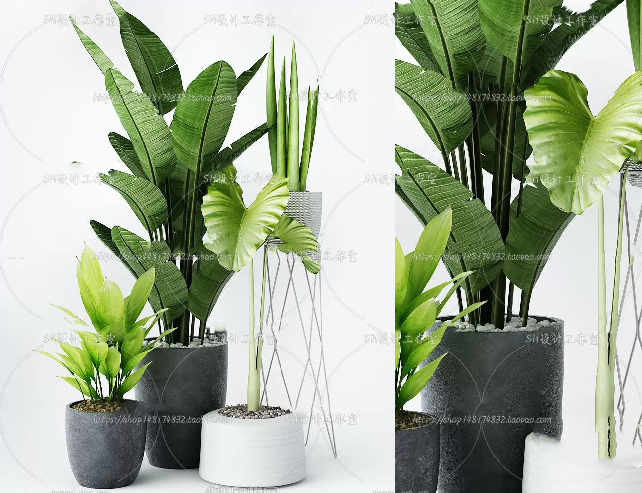 Plants and Flowers – 3Ds Models – 0150