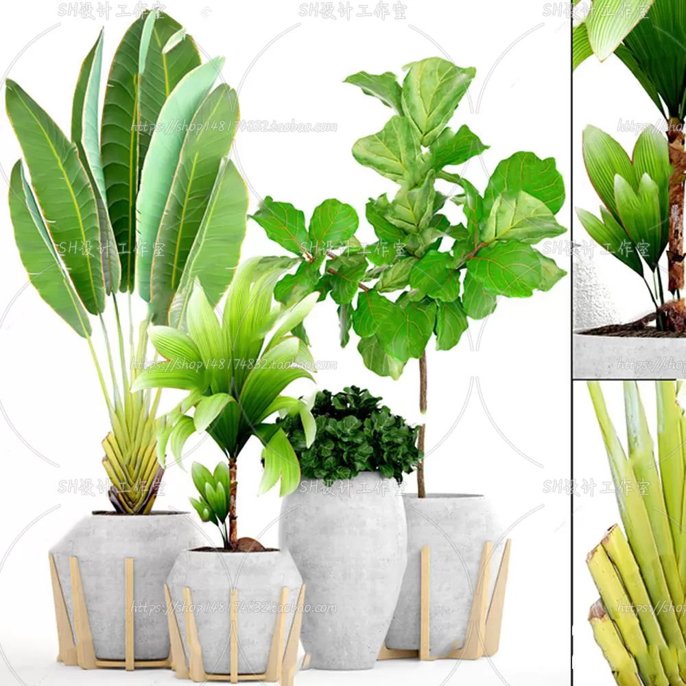 Plants and Flowers – 3Ds Models – 0152