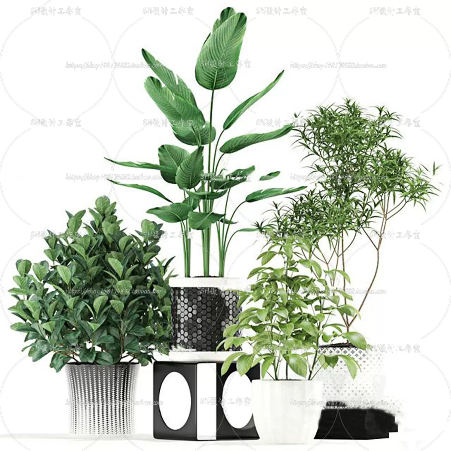 Plants and Flowers – 3Ds Models – 0162