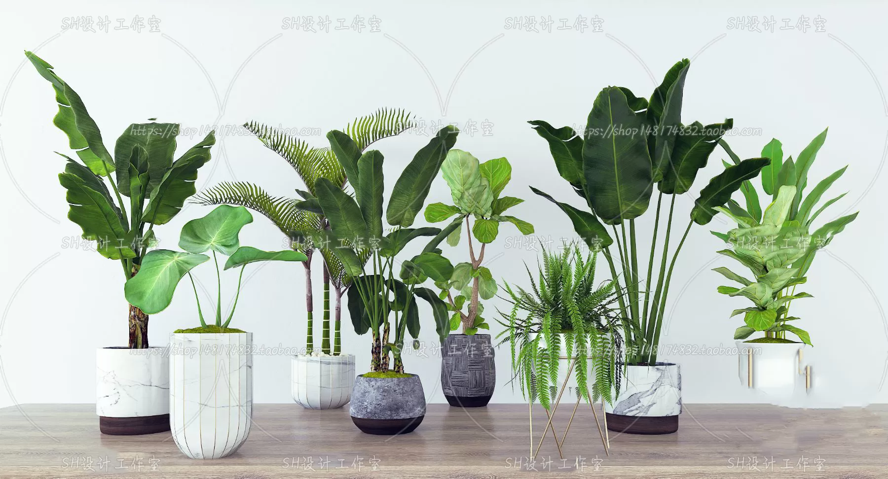 Plants and Flowers – 3Ds Models – 0163