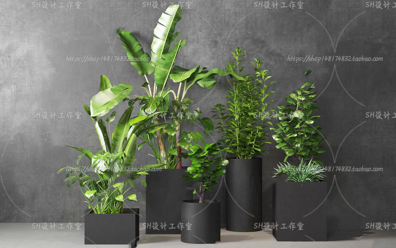 Plants and Flowers – 3Ds Models – 0177