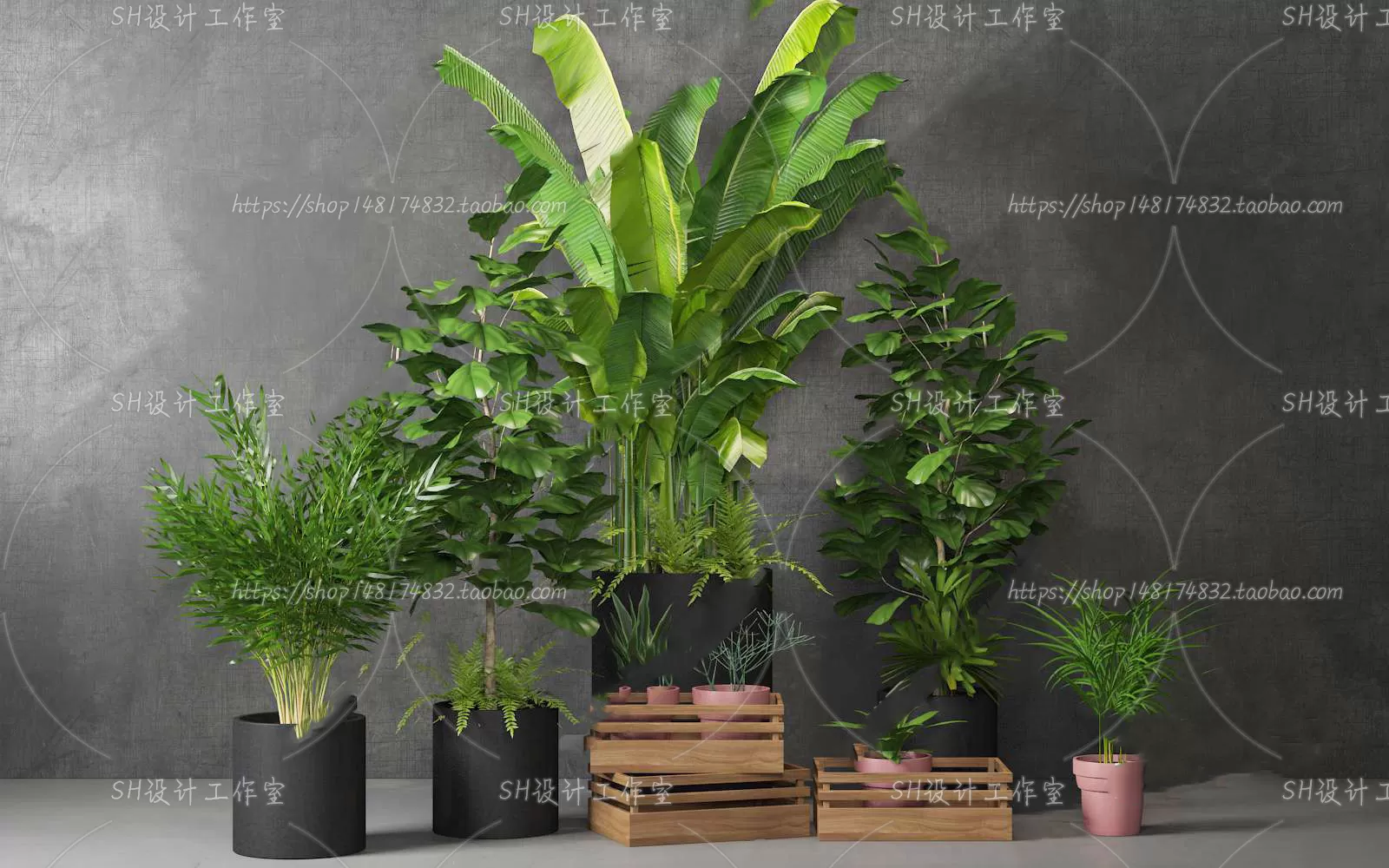 Plants and Flowers – 3Ds Models – 0178