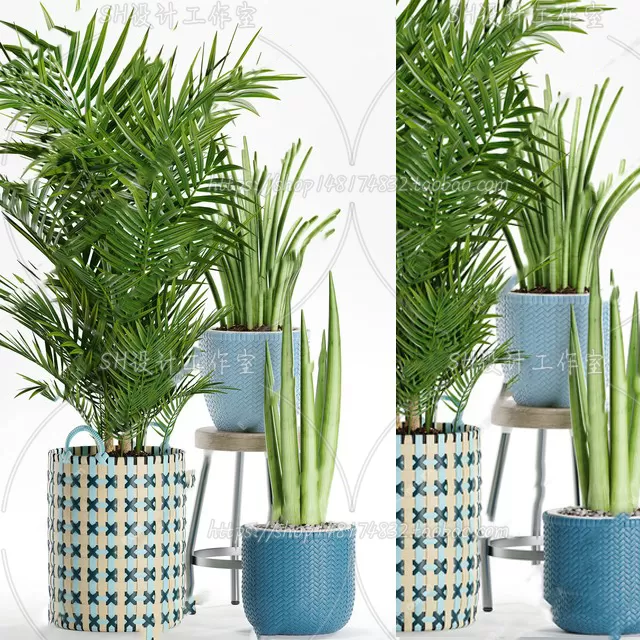 Plants and Flowers – 3Ds Models – 0181