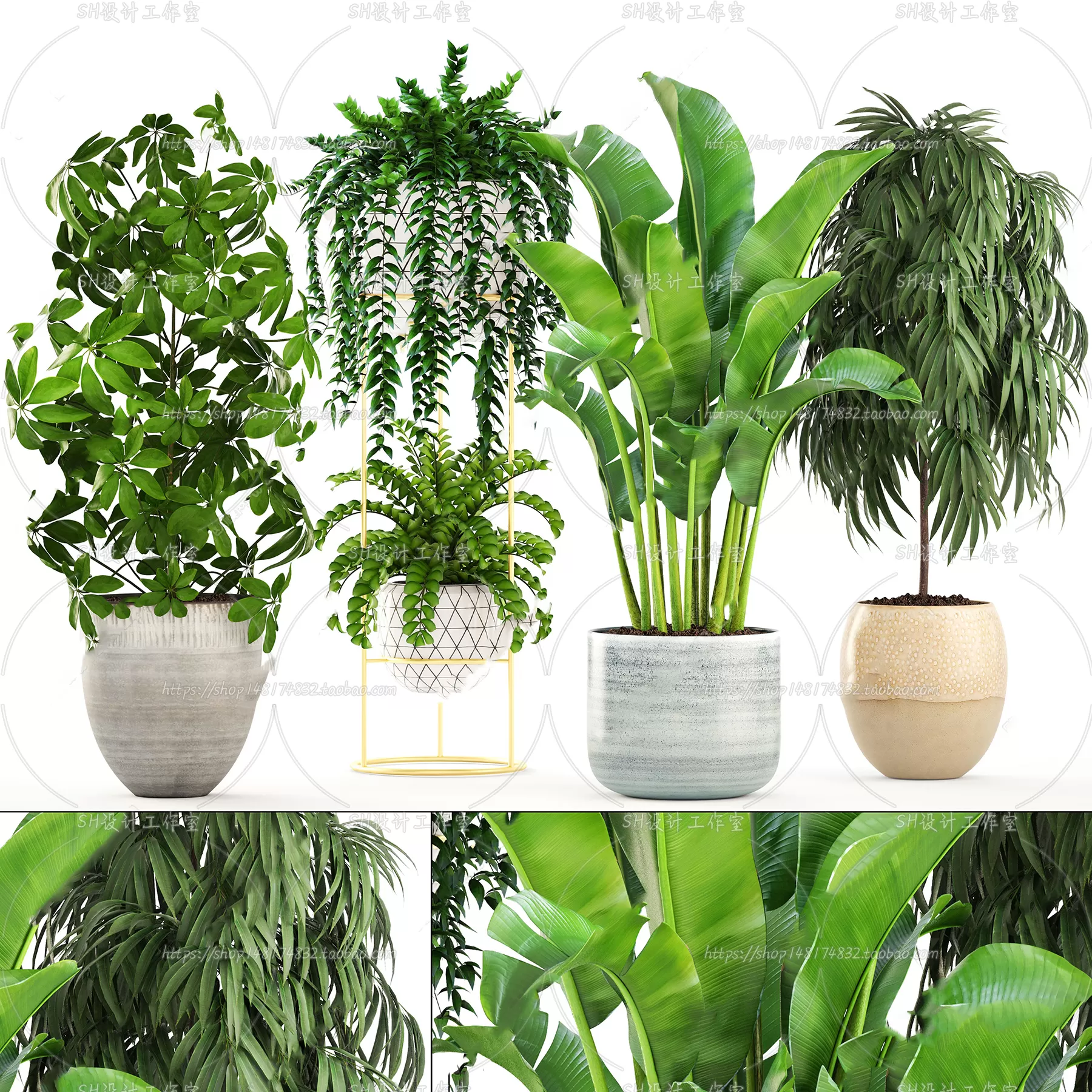 Plants and Flowers – 3Ds Models – 0187