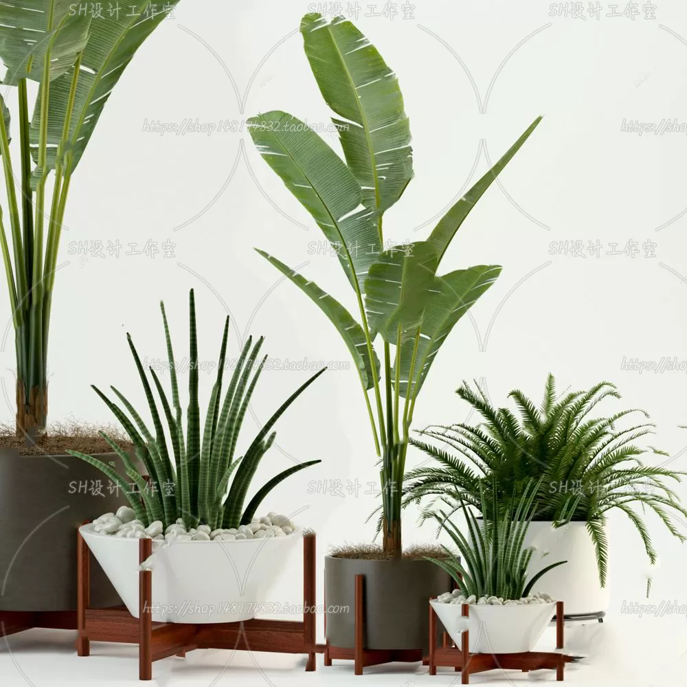 Plants and Flowers – 3Ds Models – 0195