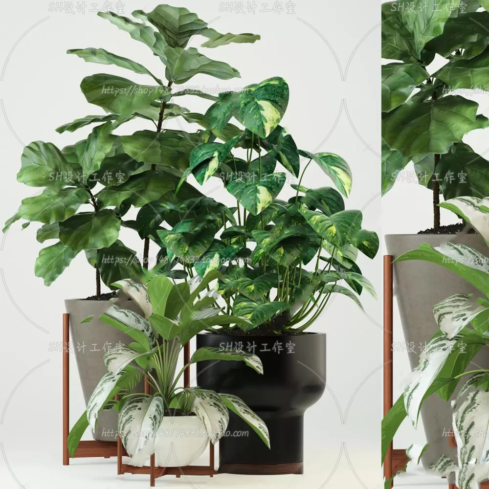 Plants and Flowers – 3Ds Models – 0197