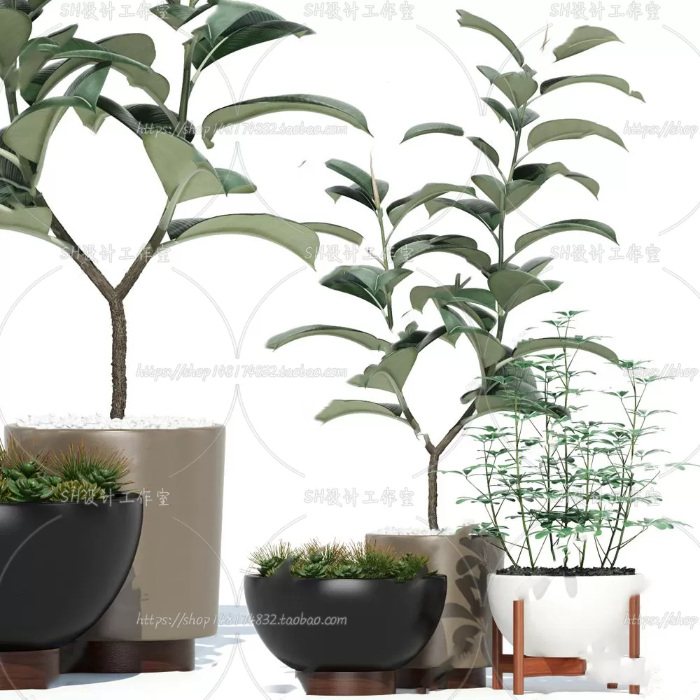 Plants and Flowers – 3Ds Models – 0198