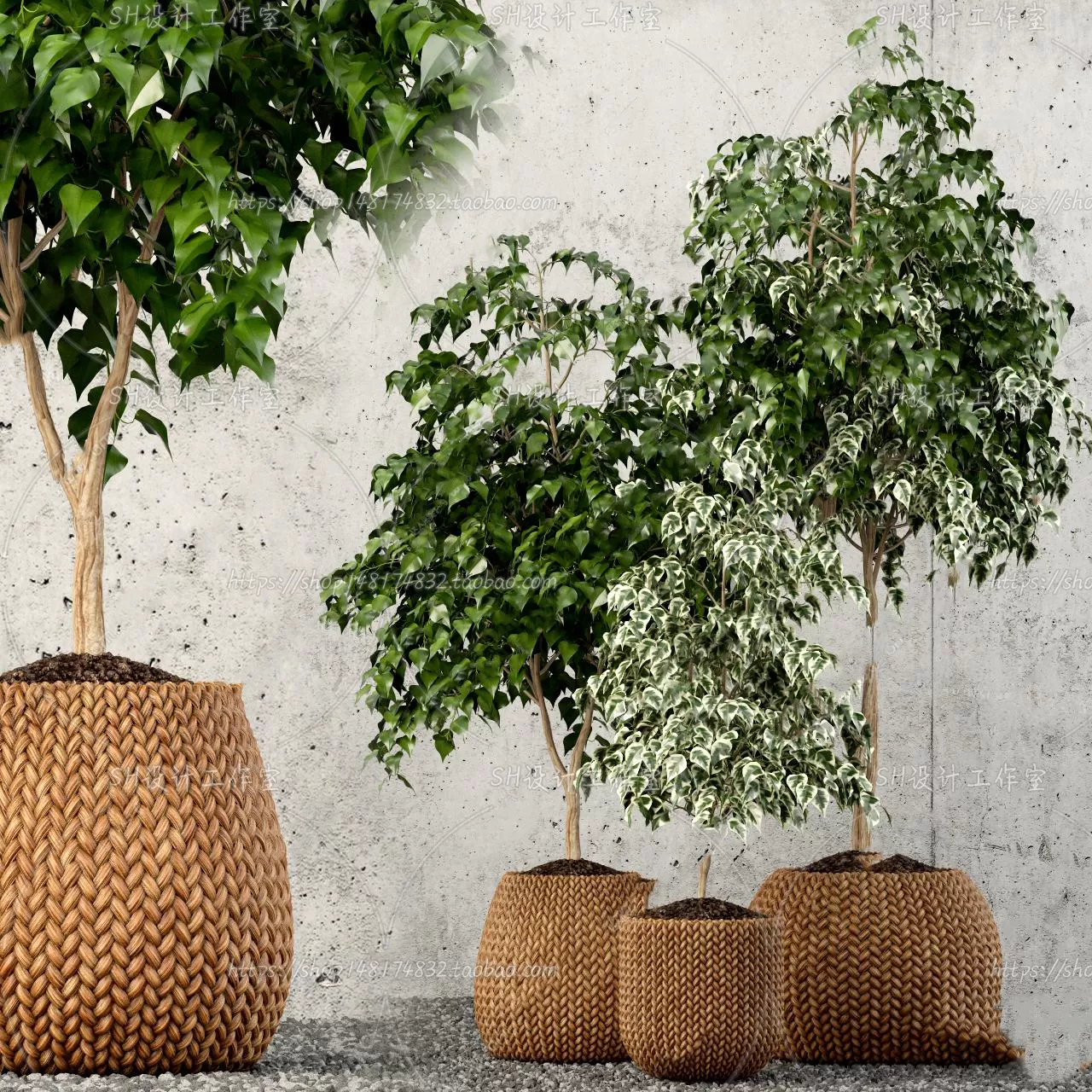 Plants and Flowers – 3Ds Models – 0203