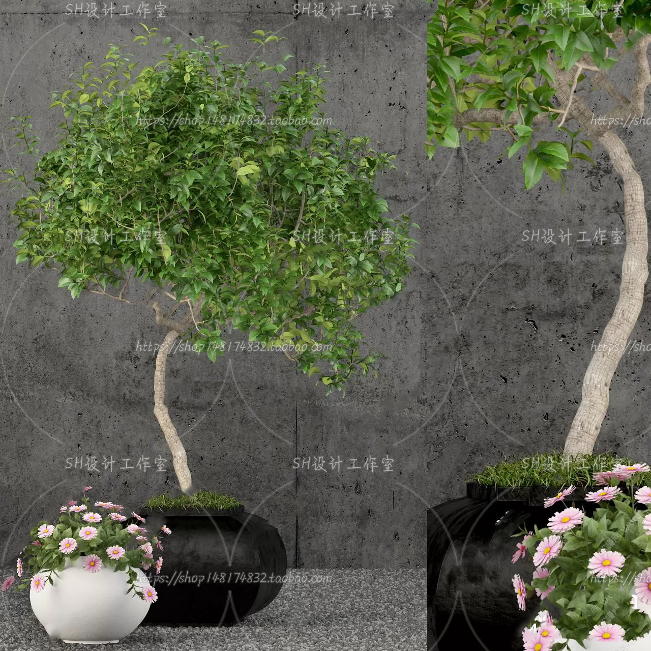 Plants and Flowers – 3Ds Models – 0204