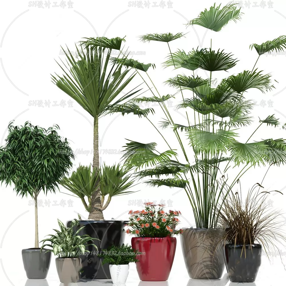 Plants and Flowers – 3Ds Models – 0212