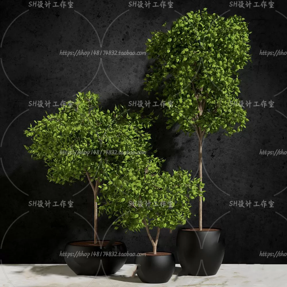 Plants and Flowers – 3Ds Models – 0218