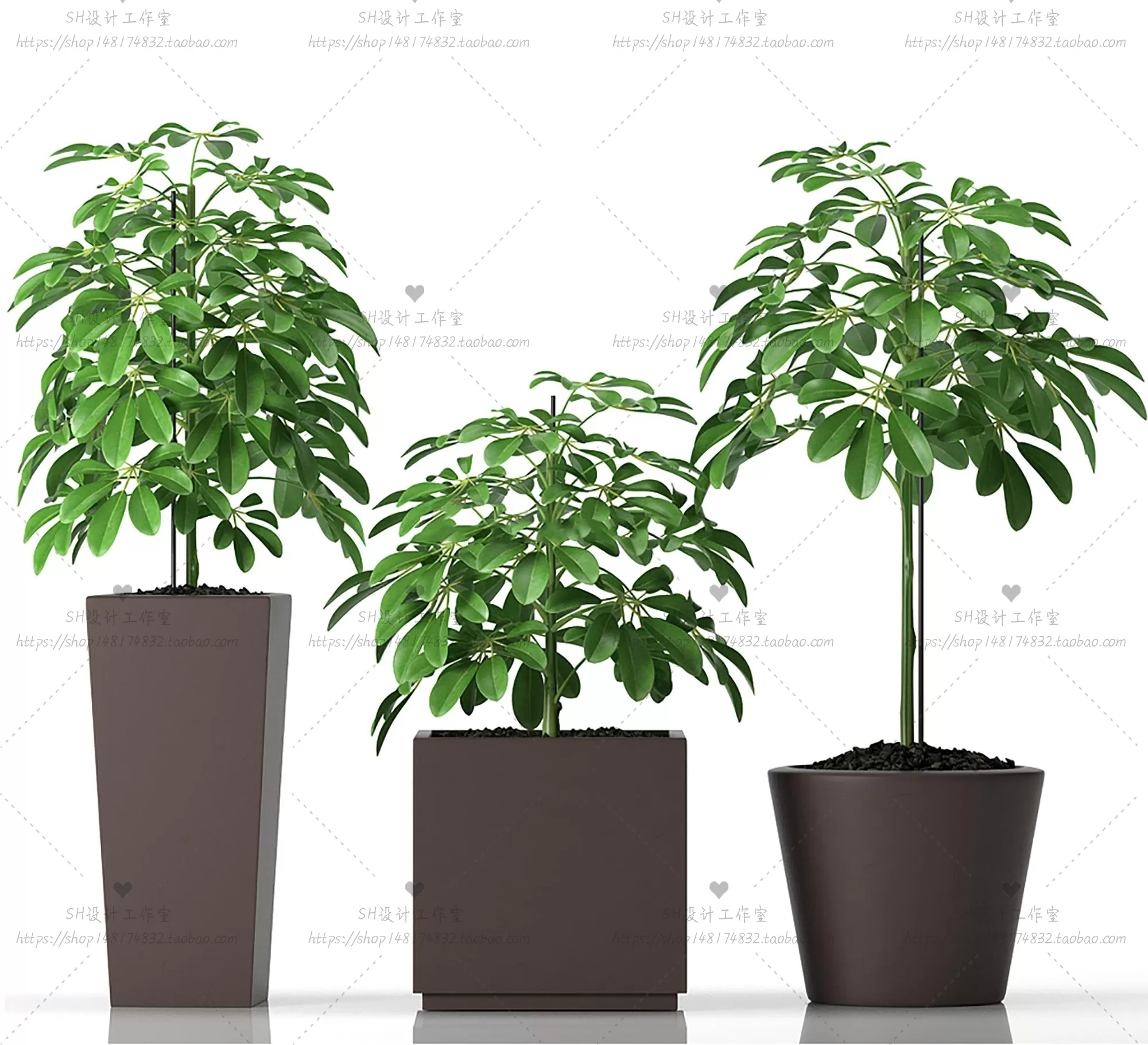 Plants and Flowers – 3Ds Models – 0261