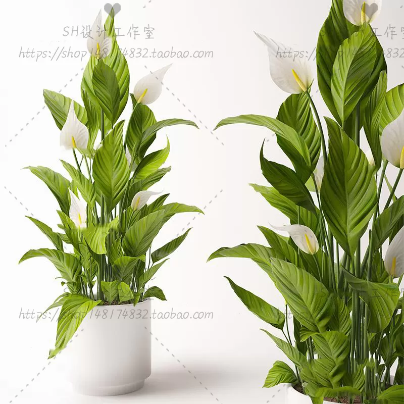 Plants and Flowers – 3Ds Models – 0276