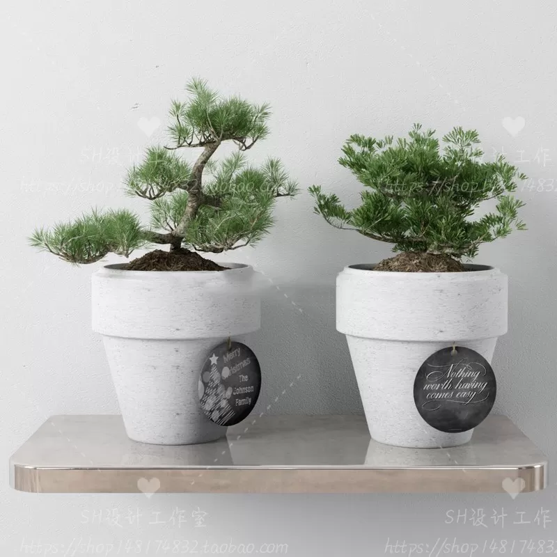 Plants and Flowers – 3Ds Models – 0298 Plants and Flowers – 3Ds Models – 0298