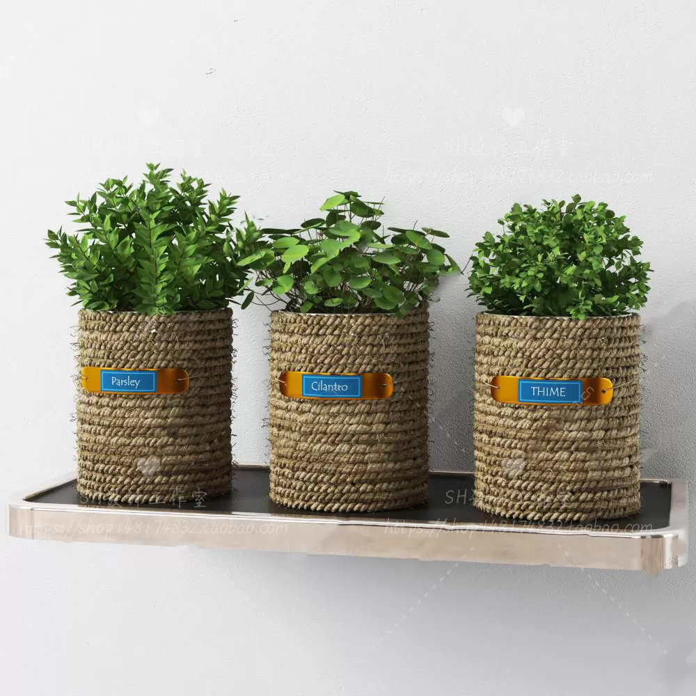 Plants and Flowers – 3Ds Models – 0300 Plants and Flowers – 3Ds Models – 0300