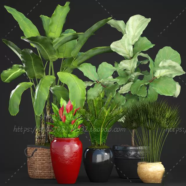 Plants and Flowers – 3Ds Models – 0313 Plants and Flowers – 3Ds Models – 0313