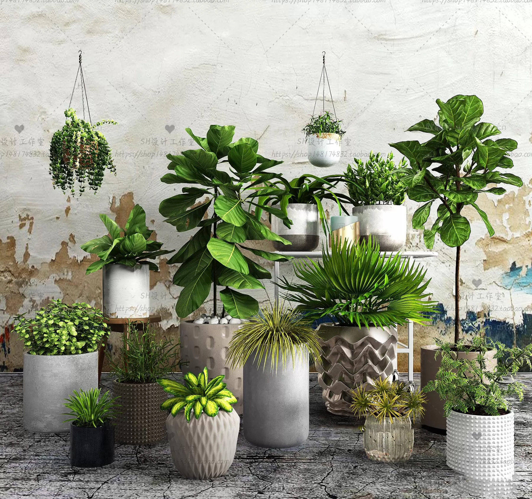 Plants and Flowers – 3Ds Models – 0317 Plants and Flowers – 3Ds Models – 0317