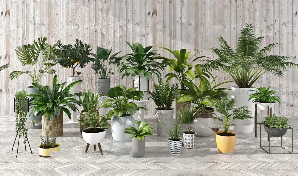 Plants and Flowers – 3Ds Models – 0321 Plants and Flowers – 3Ds Models – 0321