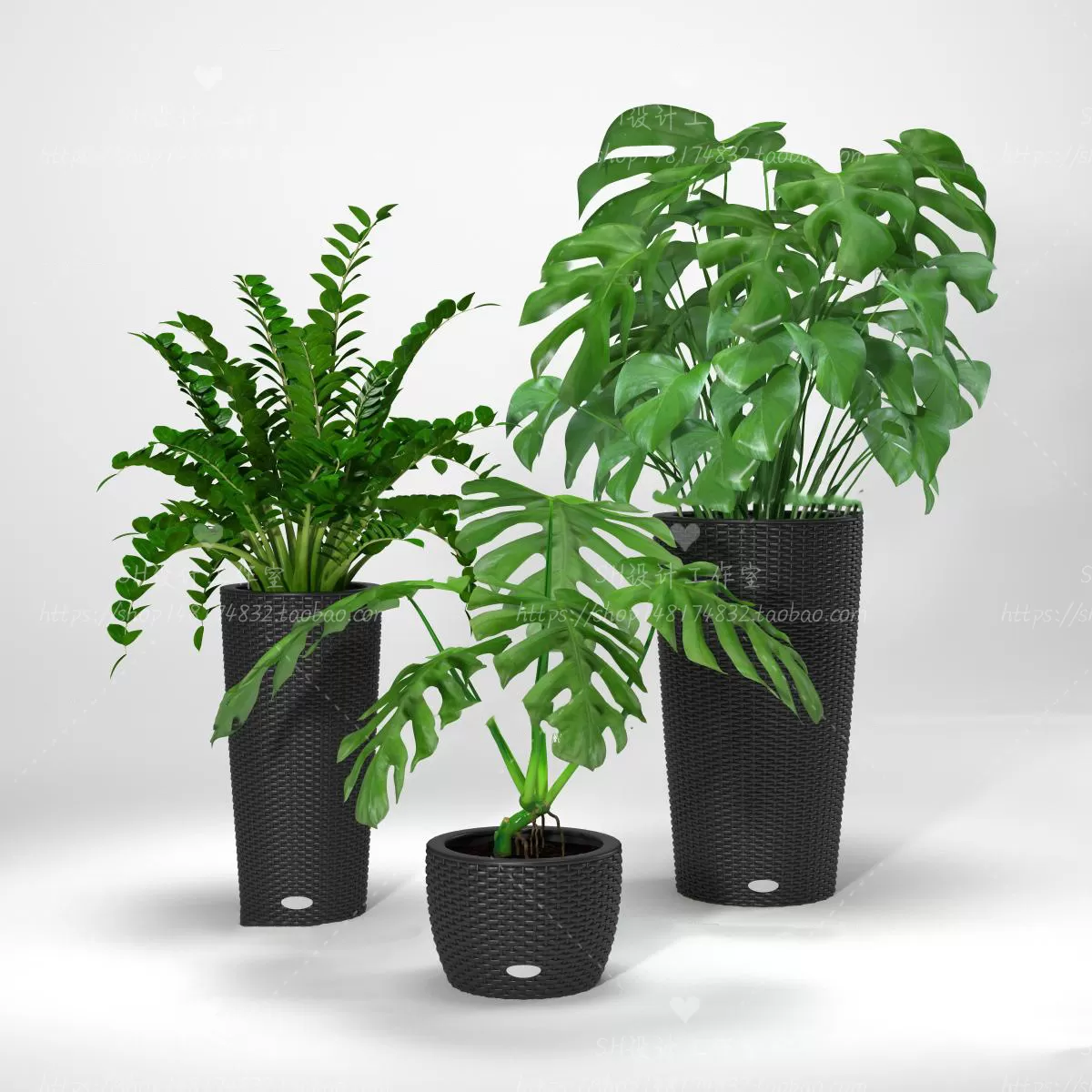 Plants and Flowers – 3Ds Models – 0333 Plants and Flowers – 3Ds Models – 0333