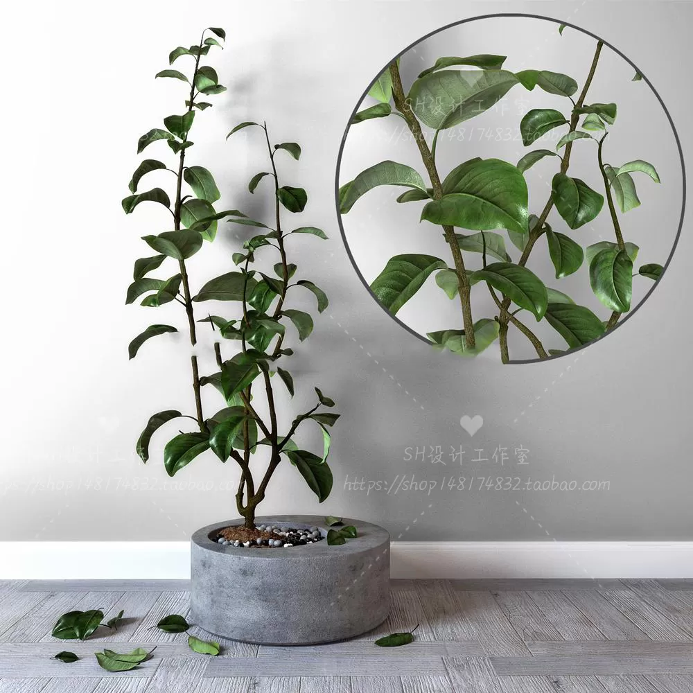 Plants and Flowers – 3Ds Models – 0335 Plants and Flowers – 3Ds Models – 0335