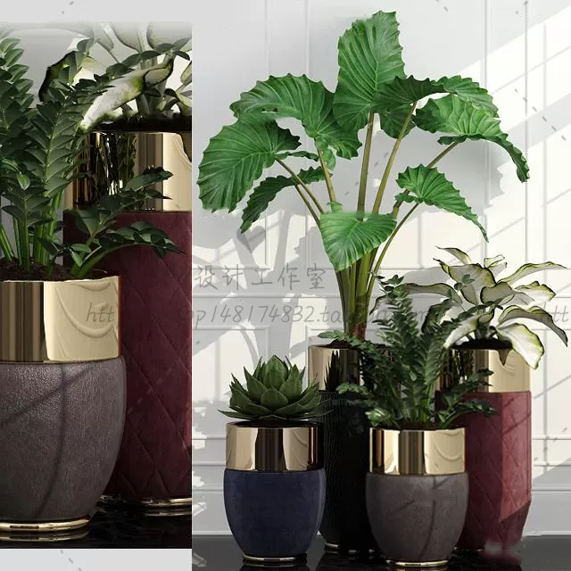 Plants and Flowers – 3Ds Models – 0336 Plants and Flowers – 3Ds Models – 0336