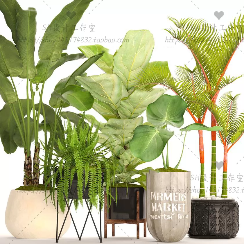 Plants and Flowers – 3Ds Models – 0341 Plants and Flowers – 3Ds Models – 0341