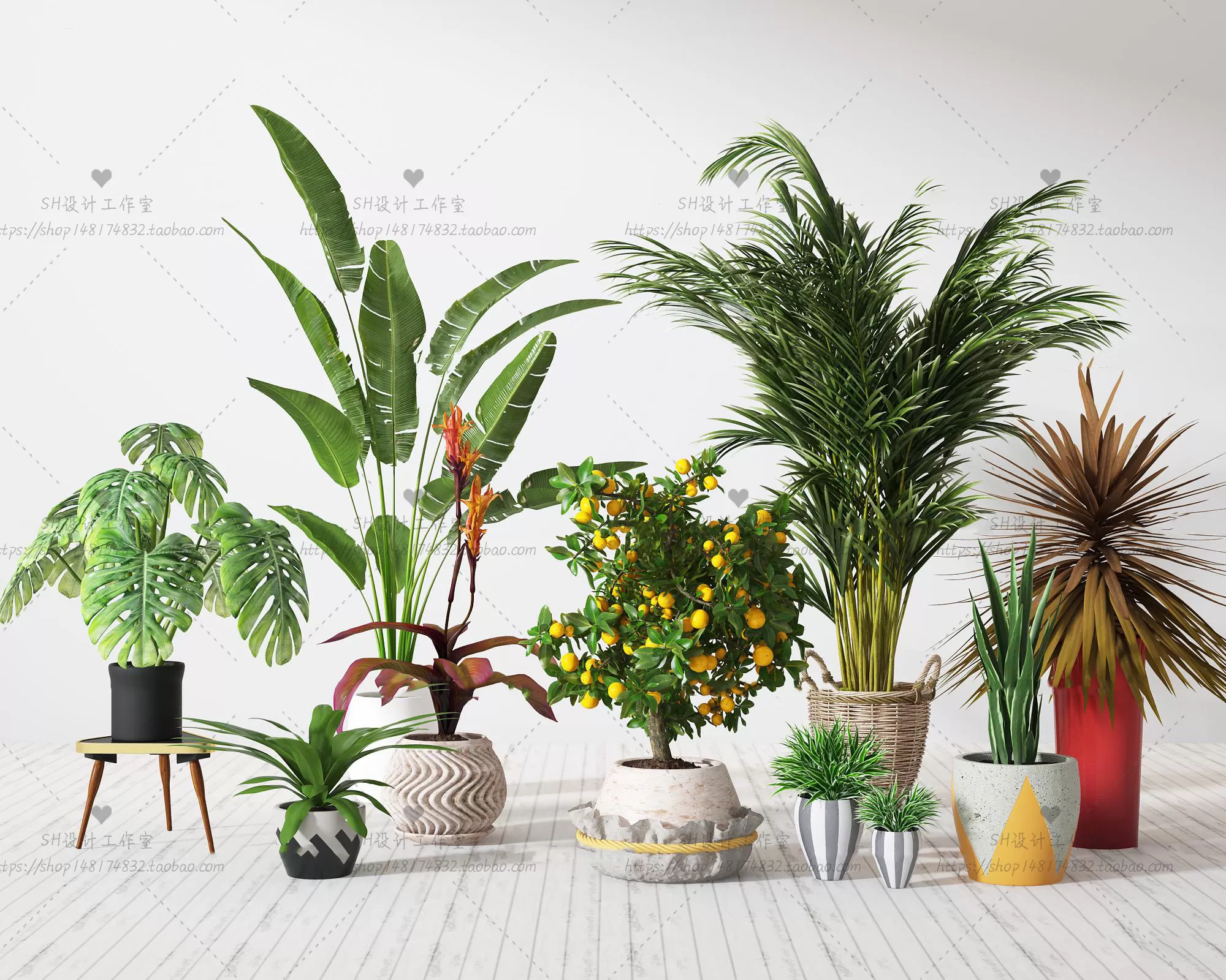 Plants and Flowers – 3Ds Models – 0342 Plants and Flowers – 3Ds Models – 0342