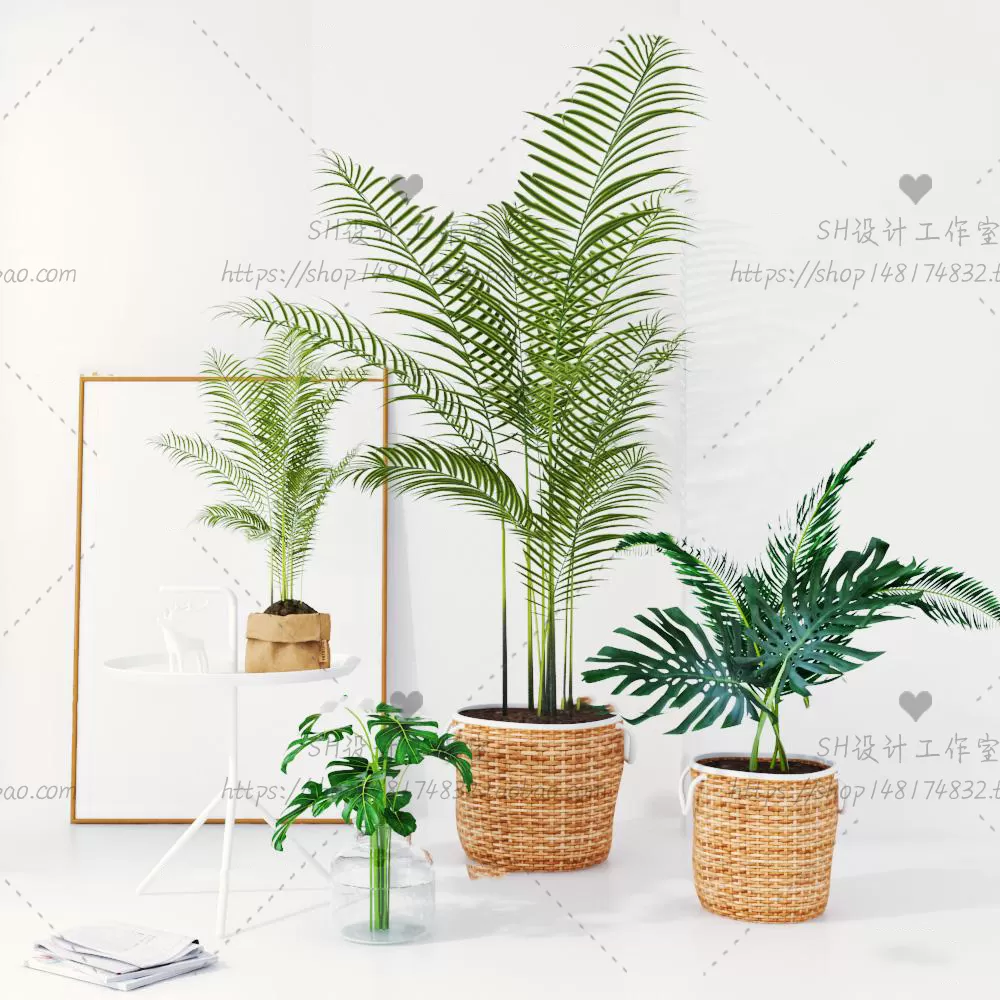 Plants and Flowers – 3Ds Models – 0347 Plants and Flowers – 3Ds Models – 0347