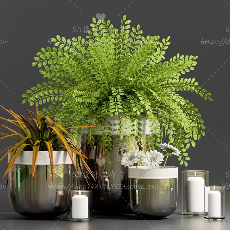 Plants and Flowers – 3Ds Models – 0349 Plants and Flowers – 3Ds Models – 0349