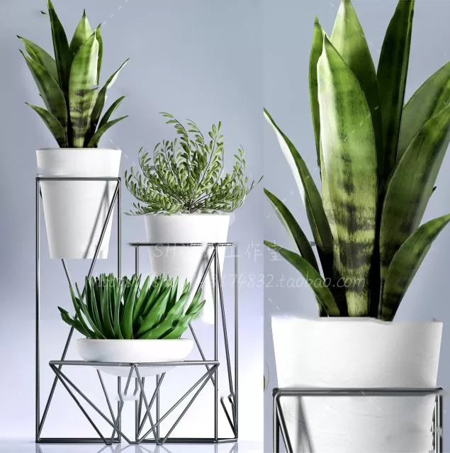 Plants and Flowers – 3Ds Models – 0350 Plants and Flowers – 3Ds Models – 0350