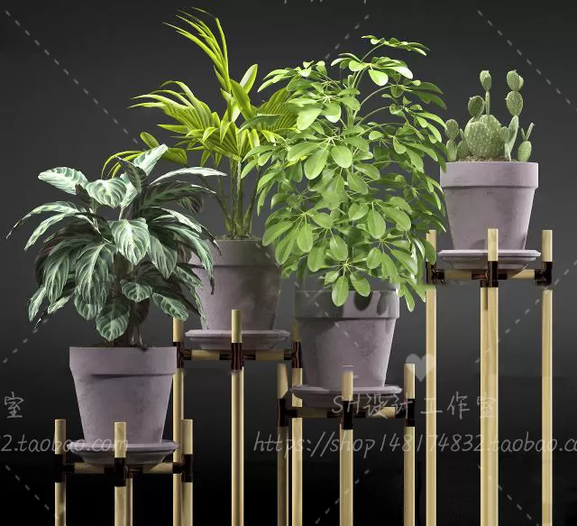 Plants and Flowers – 3Ds Models – 0361 Plants and Flowers – 3Ds Models – 0361