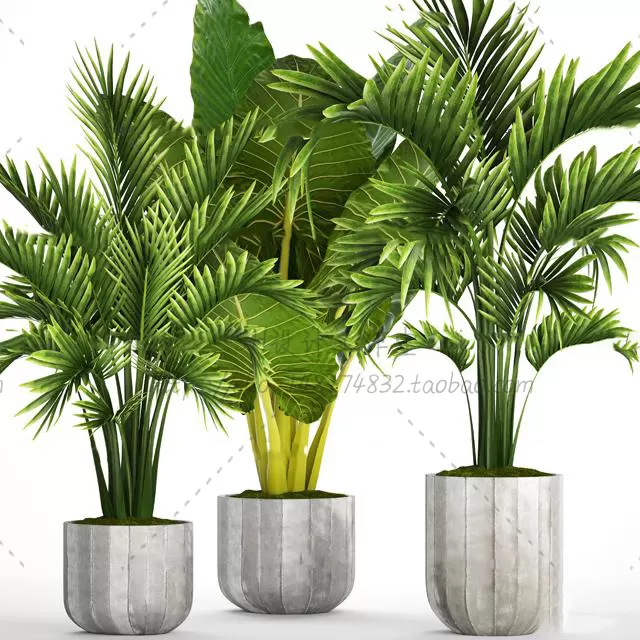 Plants and Flowers – 3Ds Models – 0365 Plants and Flowers – 3Ds Models – 0365