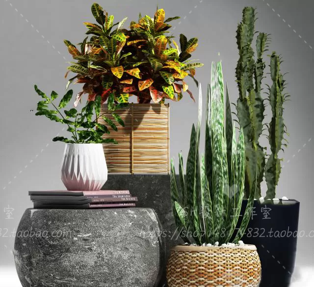 Plants and Flowers – 3Ds Models – 0376 Plants and Flowers – 3Ds Models – 0376